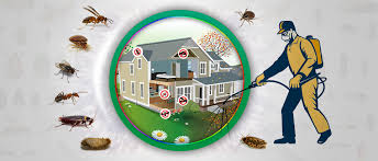 Pest Control Services In Youngstown