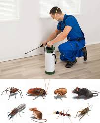 Pest Control Services In Youngstown