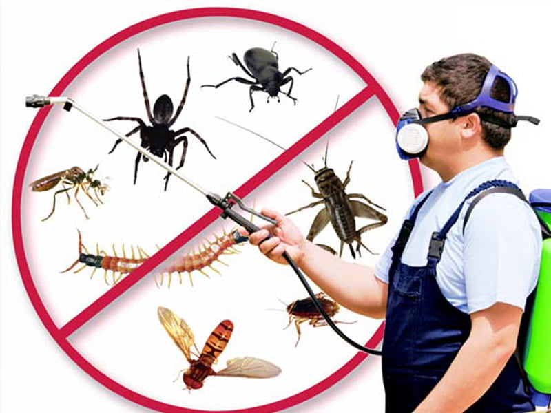 About Us Kreshco Pest Control