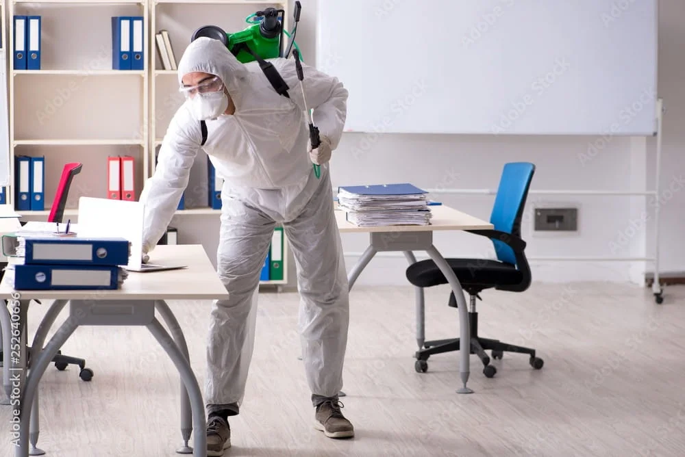 Pest-Free Workspaces